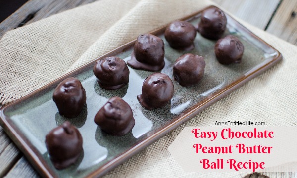Easy Chocolate Peanut Butter Balls. Photo credit: Anns Entitled Life.